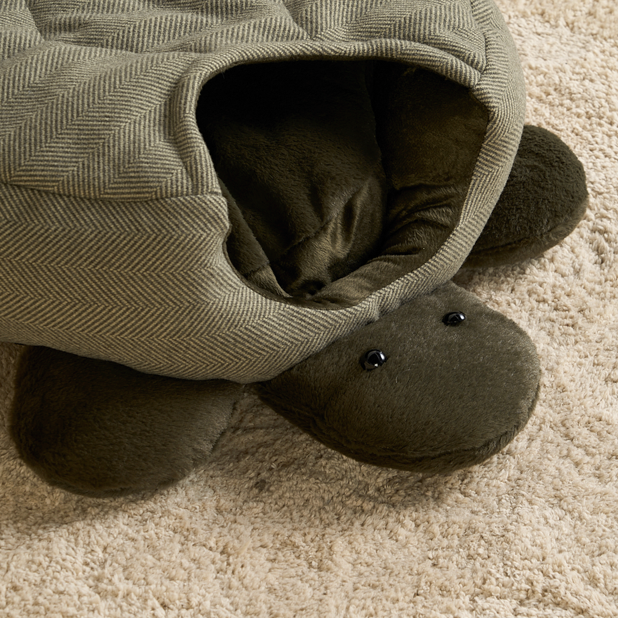 Plüsch-Schildkröten-Haustierbett, grün, gemütlich, waschbar, für kleine Haustiere, auf Teppich.