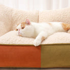 Weiße Katze auf gemütlichem, mehrfarbigem Haustier-Sofa-Bett mit Kissen, orange und grün.