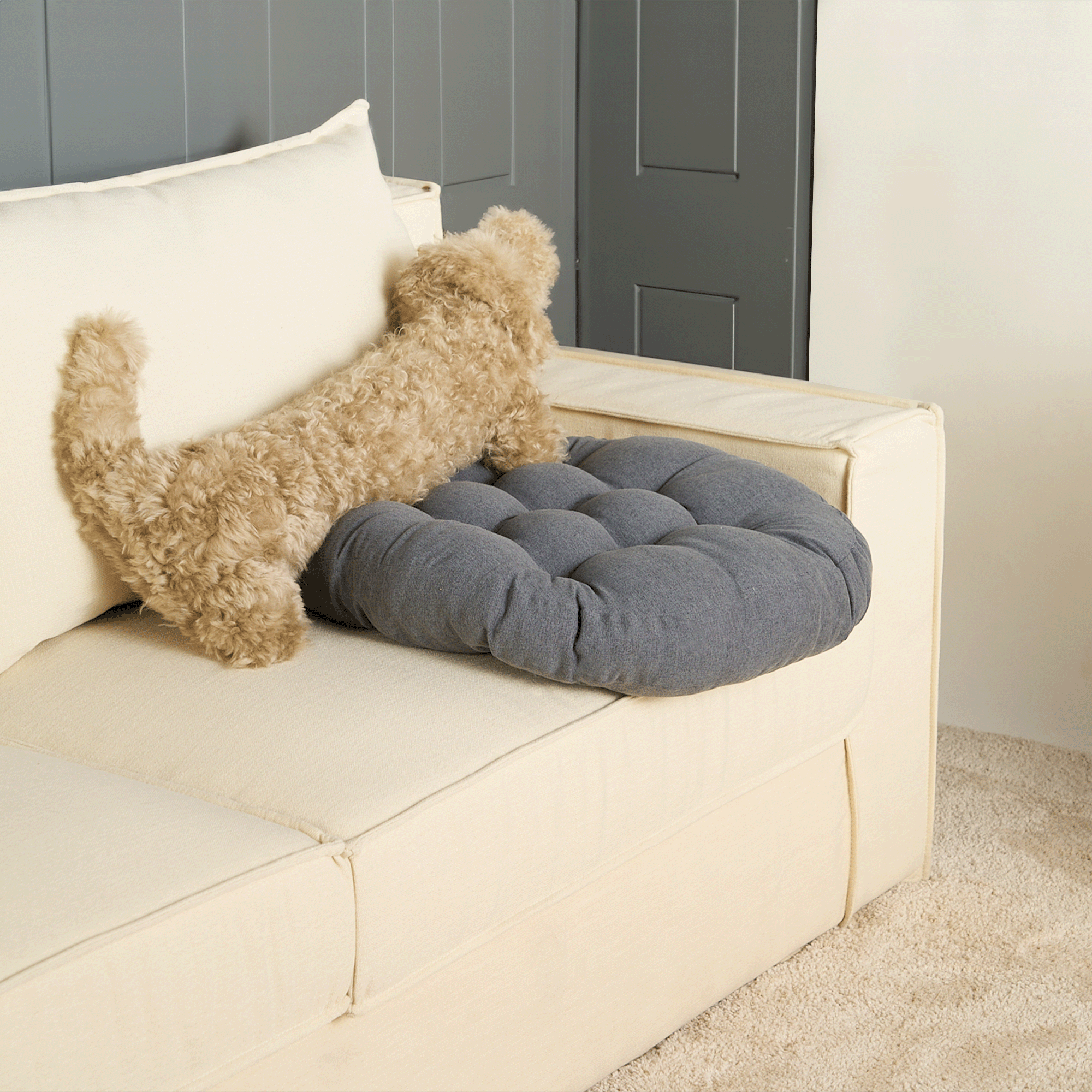 Graues Tatami-Kissen auf beigem Sofa, ideal für Haustiere, aus weichem Material, modernes Design.