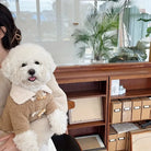 Weißer Bichon Frisé in stylischem Hundemantel, posiert in modernem Büro. Beliebte Hunderasse, niedlich, flauschig, ideal für Haustierliebhaber.