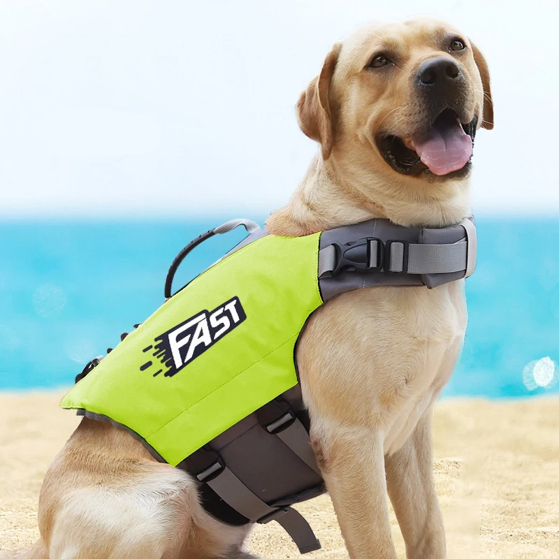 Labrador am Strand mit leuchtend gelber Schwimmweste, ideal für Hundesicherheit am Wasser. Perfekt für Outdoor-Aktivitäten und Wassersport.