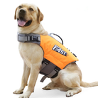 Labrador Retriever mit orangefarbener Schwimmweste, ideal für Wassersicherheit. Hundezubehör, Schwimmhilfe, Outdoor-Aktivitäten.