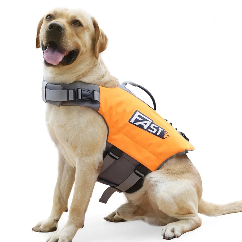 Labrador Retriever mit orangefarbener Schwimmweste, ideal für Wassersicherheit. Hundezubehör, Schwimmhilfe, Outdoor-Aktivitäten.