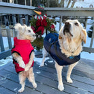 Zwei Hunde in Wintermänteln auf einer verschneiten Terrasse, umgeben von weihnachtlicher Dekoration. Perfekt für Haustiermode im Winter.