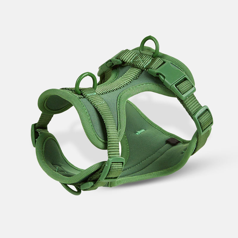 Grünes Hundegeschirr, verstellbar und gepolstert, ideal für Komfort und Sicherheit. Perfekt für Spaziergänge und Outdoor-Aktivitäten.
