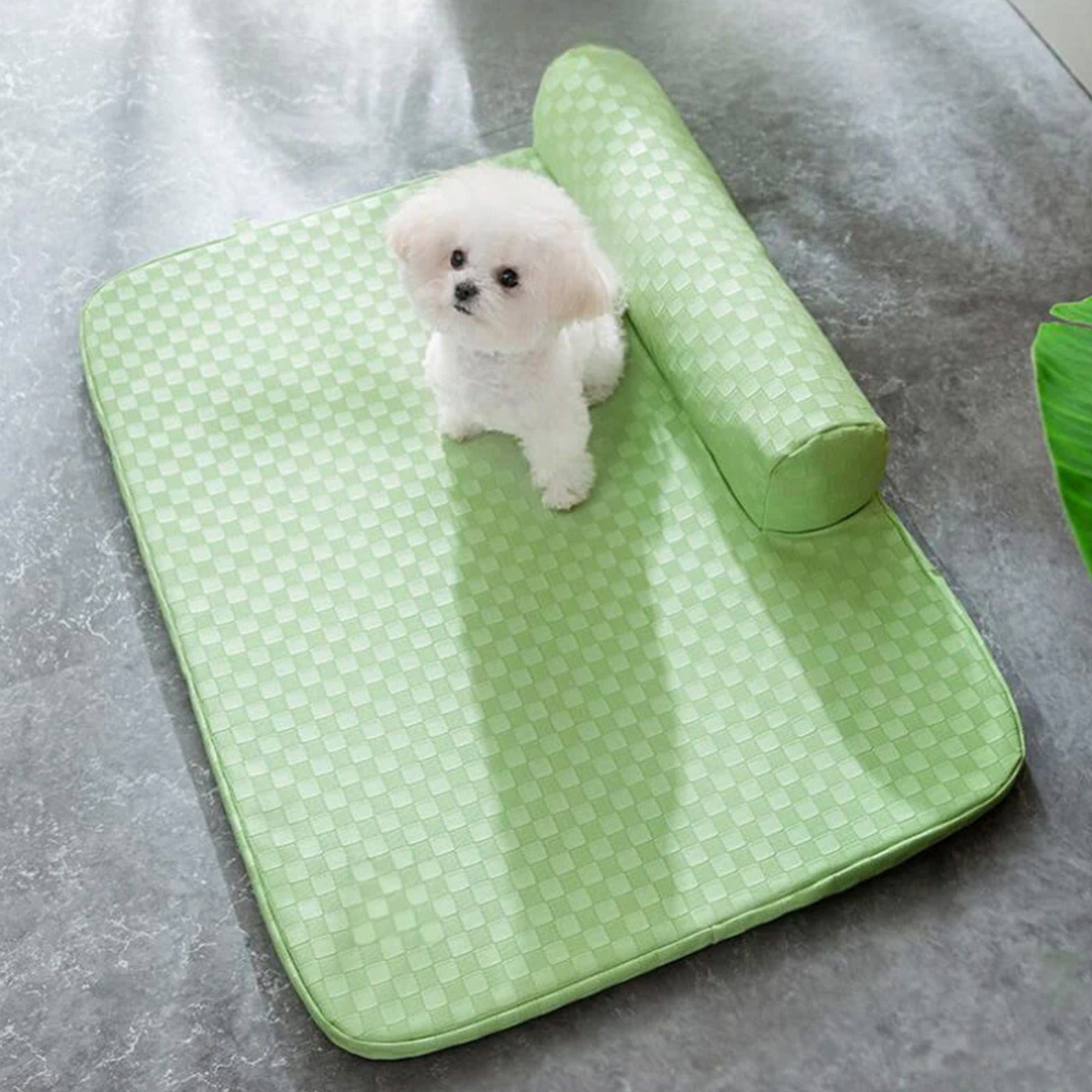 Grünes kariertes Kunstleder-Hundebett, wasserdicht, kratzfest, mit kleinem weißen Hund.