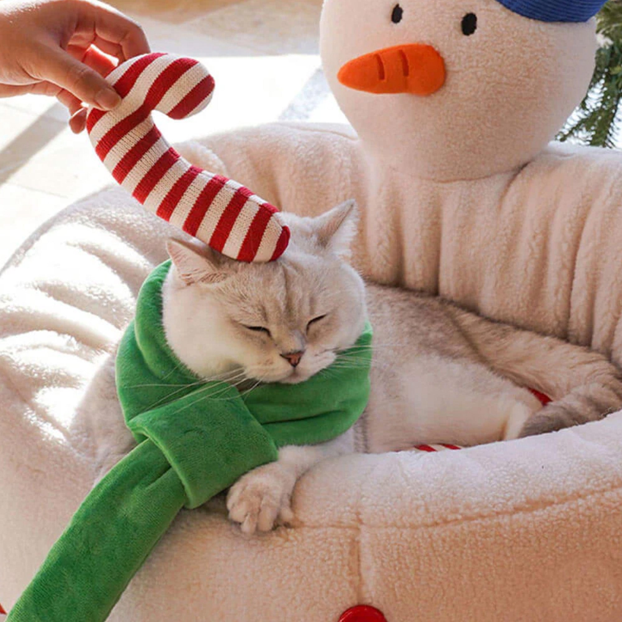 Katzenbett in Schneemann-Form, weiß, gemütlich, mit grünem Schal, Weihnachtsdesign.