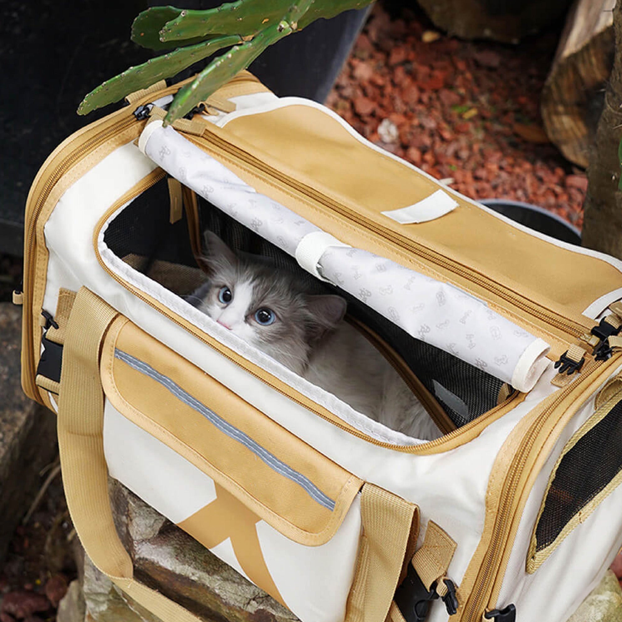 Tragbare faltbare Designer-Haustiertasche, beige, atmungsaktiv, mit Katze im Inneren.