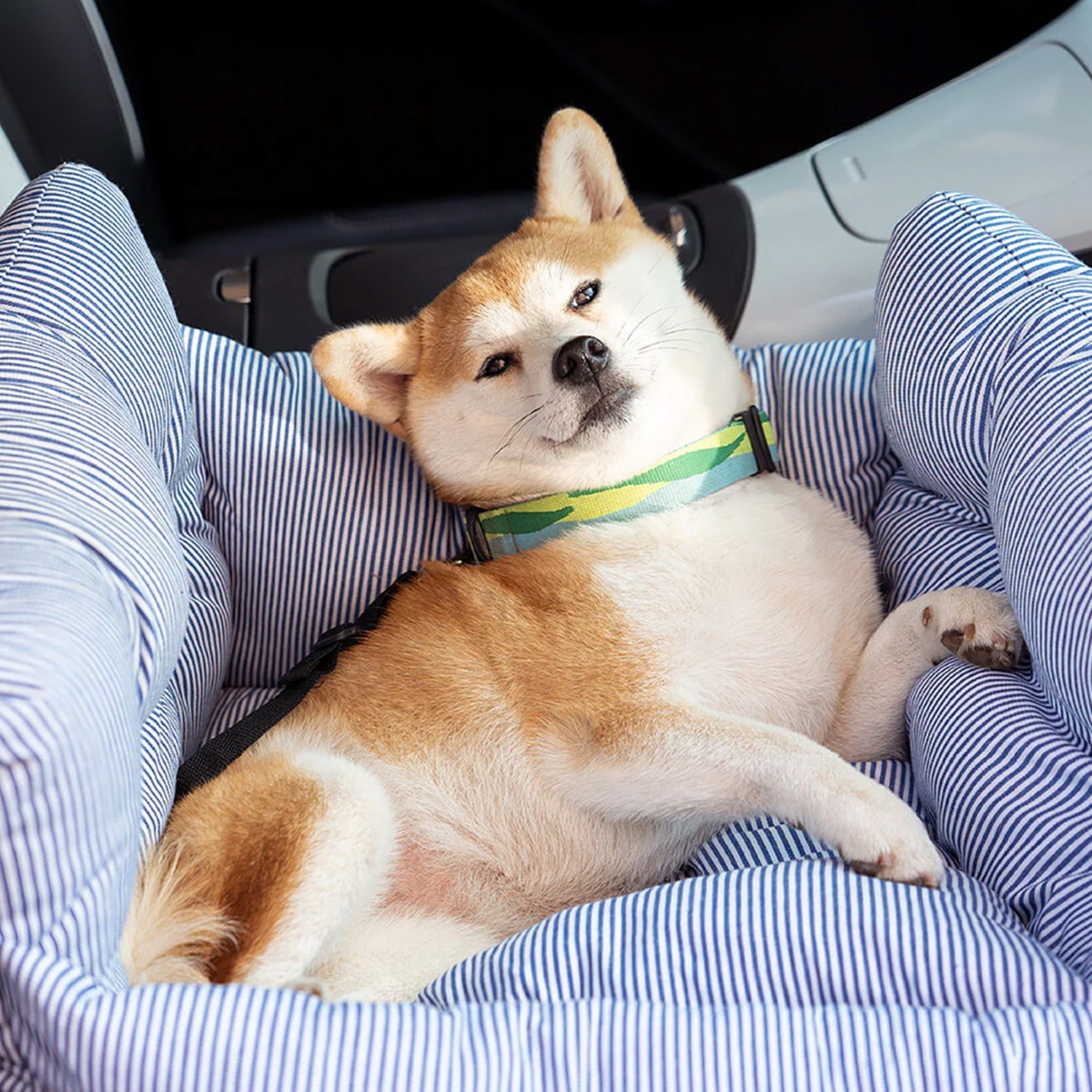 Hund in gestreiftem Hundebett im Auto, tragbares Haustierbett, großer Hund, bequem, blau-weiß.