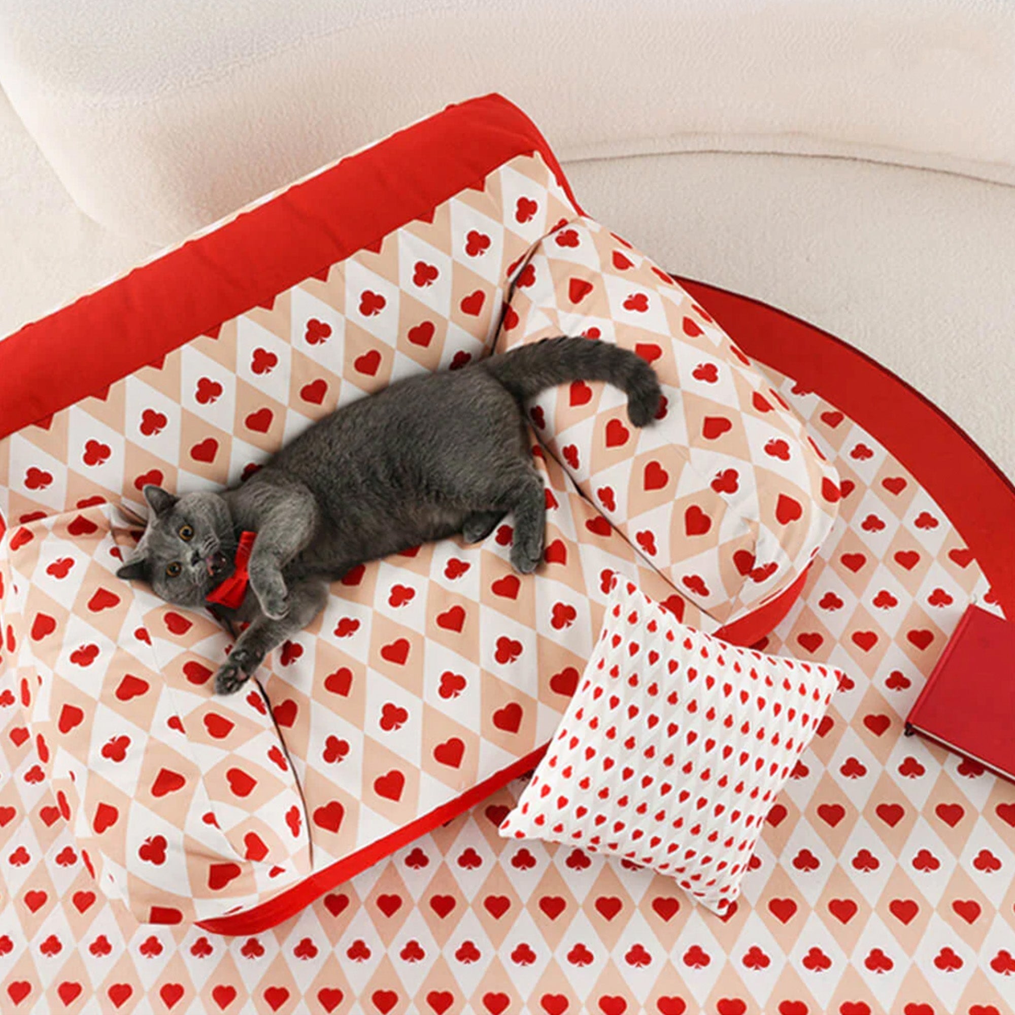 Graue Katze auf rotem Herzmuster-Haustiersofa, Retro-Design, gemütlich, stilvoll, Hundesofa.