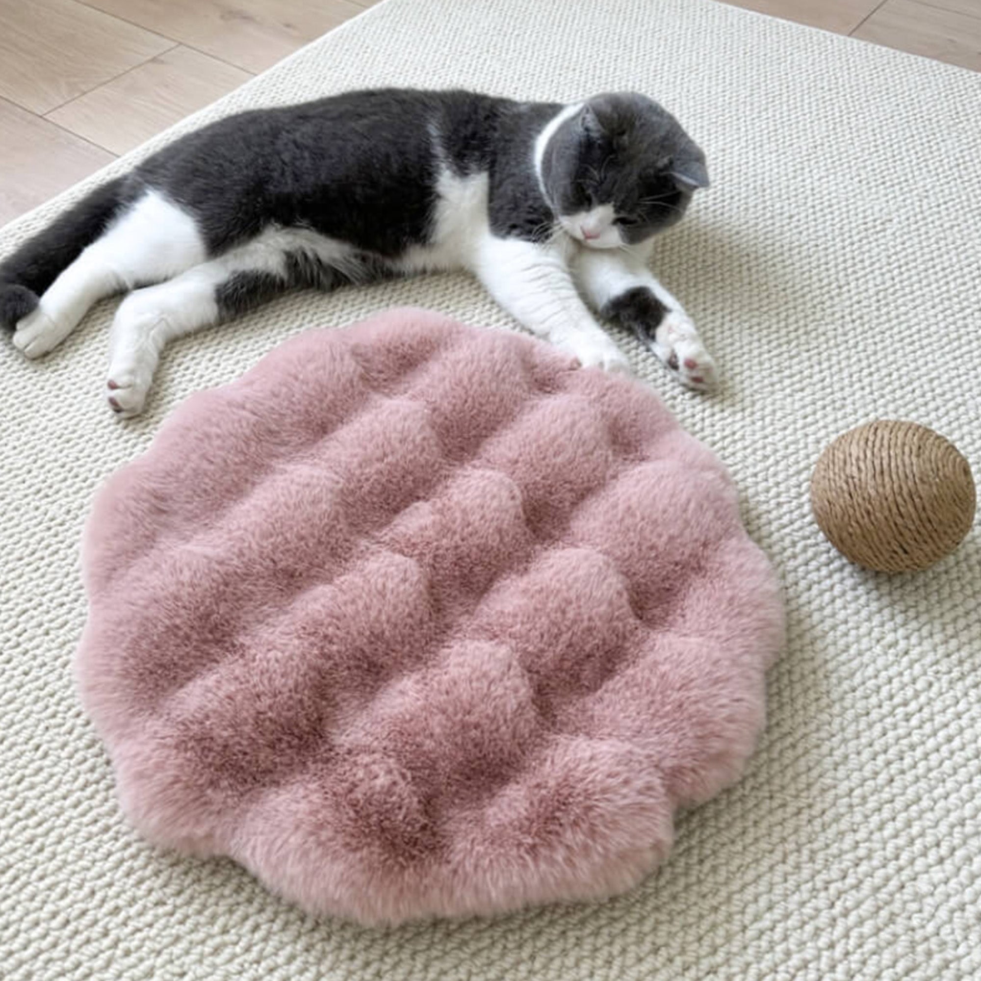 Rosa, runde, weiche Plüsch-Haustiermatte auf Teppich mit schlafender Katze und Spielball.