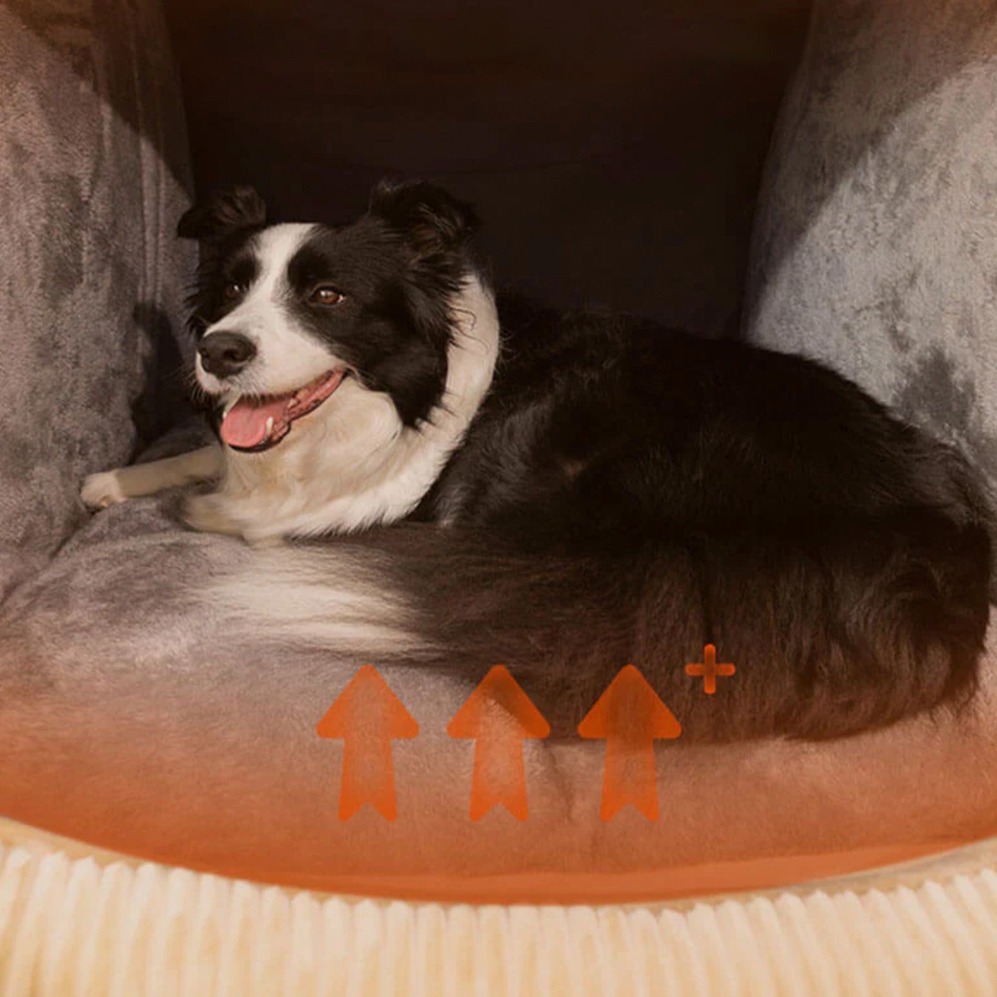Schwarz-weiß Hund in großem, warmem, abnehmbarem, halbgeschlossenem Flanell-Hundebett.