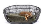 Hundebett aus grauem Rattan mit grünem Kissen, Französische Bulldogge liegend, Haustiermöbel.