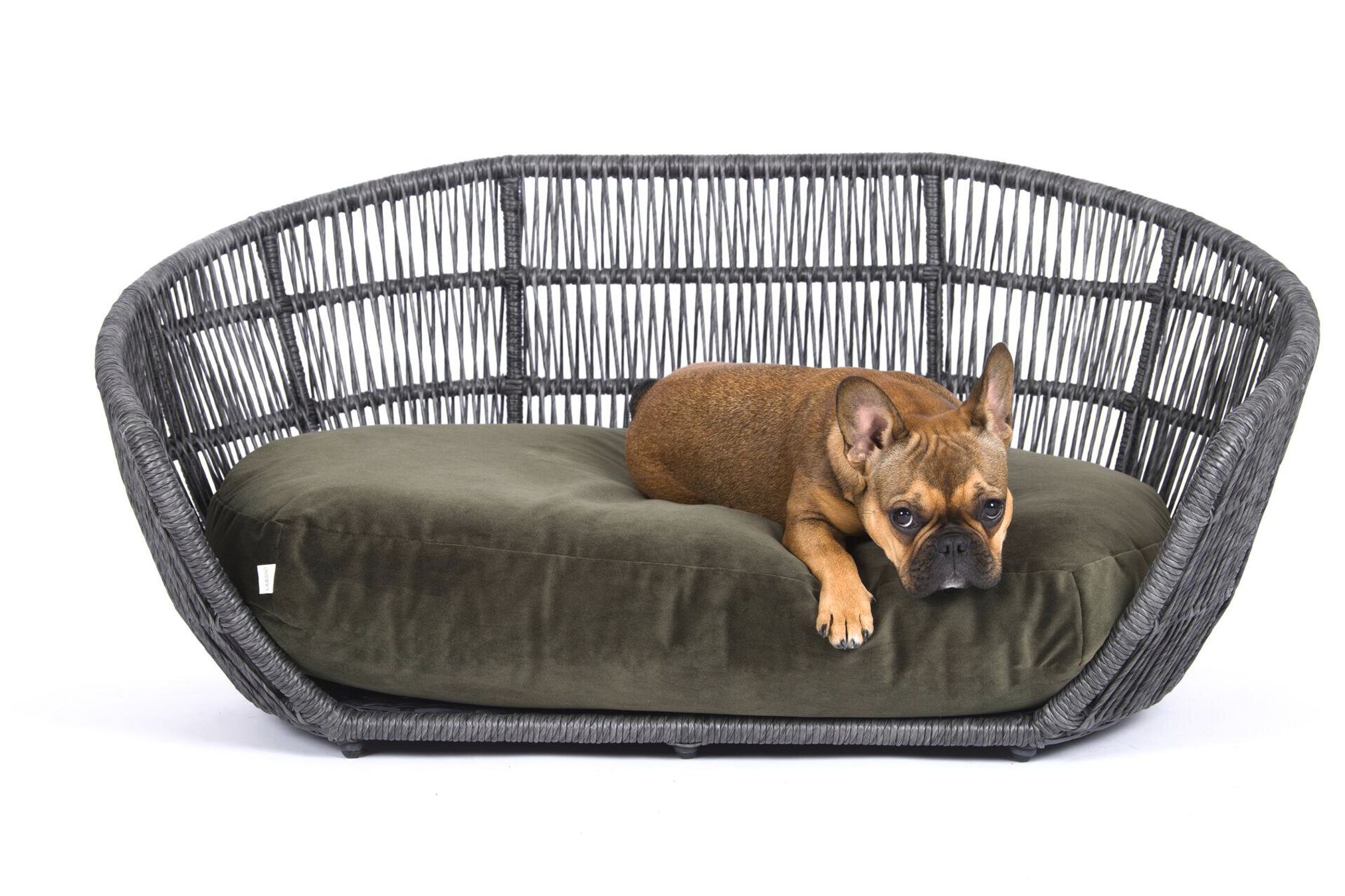 Hundebett aus grauem Rattan mit grünem Kissen, Französische Bulldogge liegend, Haustiermöbel.