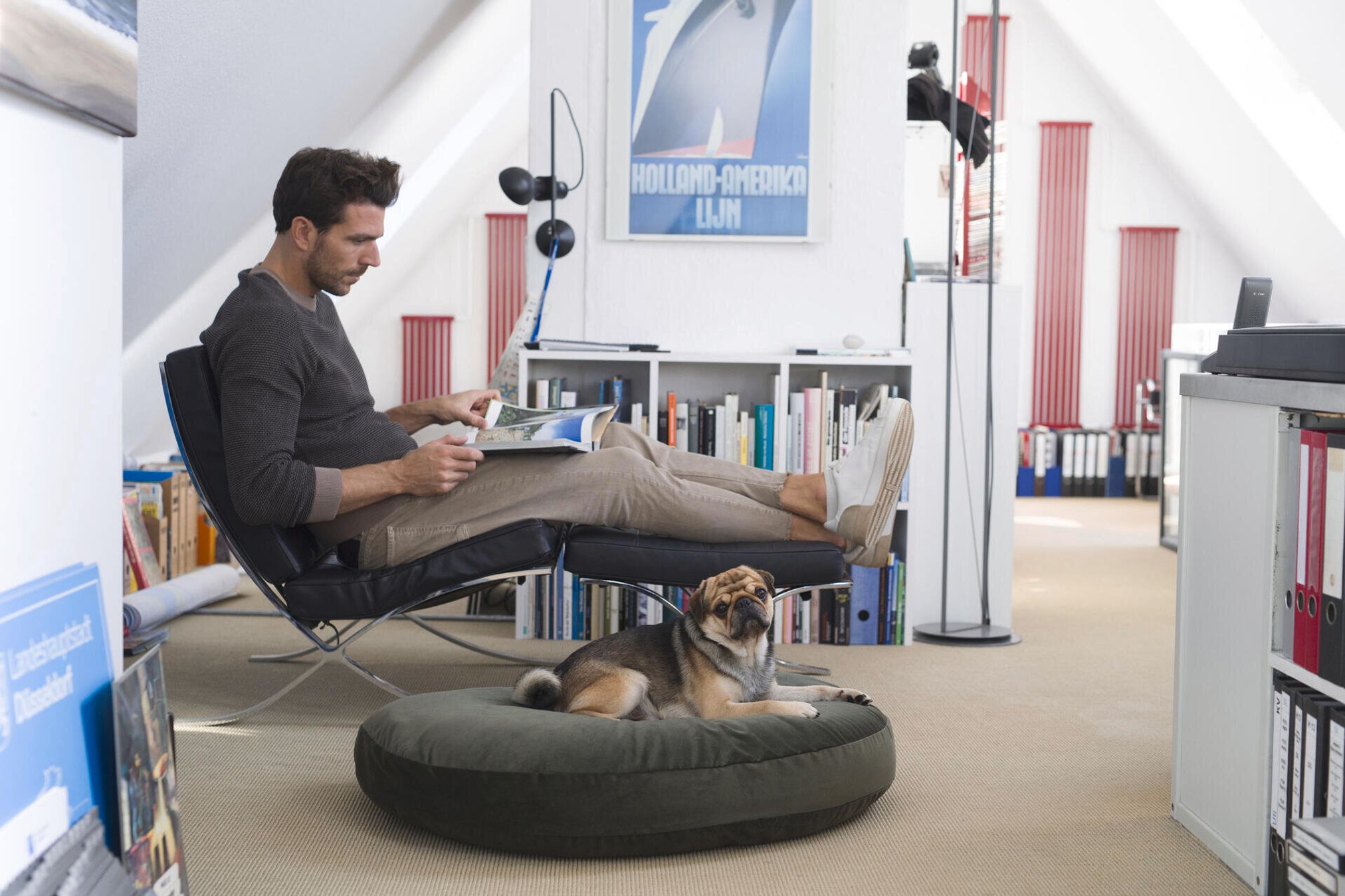 Mann liest Zeitschrift in modernem Wohnzimmer, Hund auf grünem Kissen, Bücherregale im Hintergrund.
