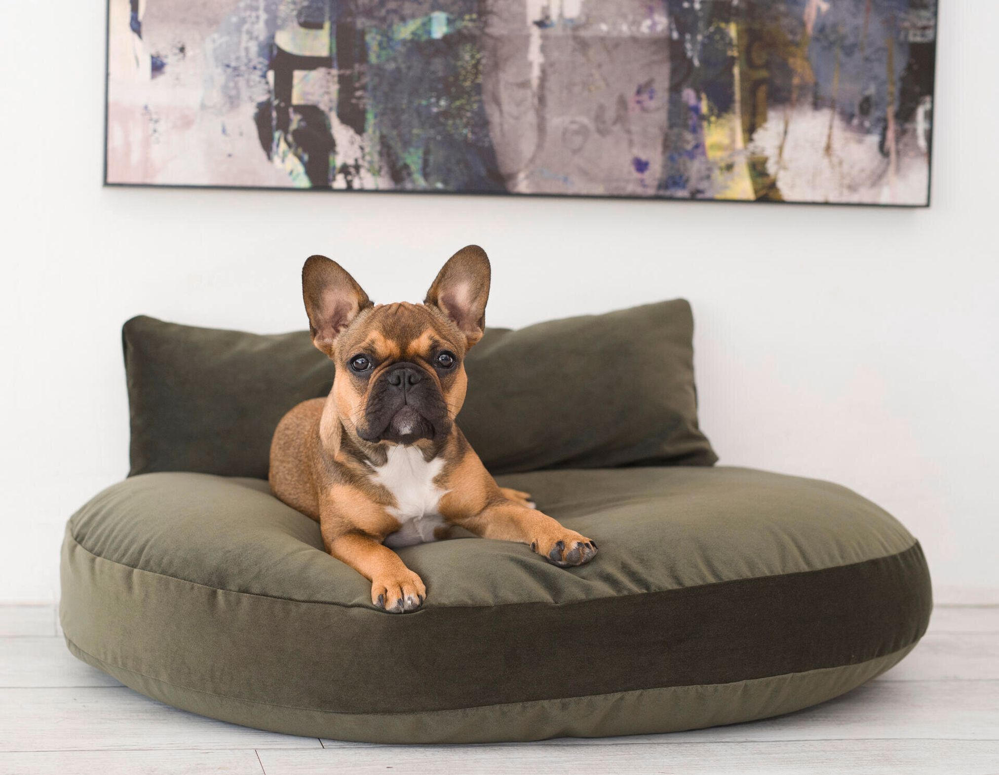 Französische Bulldogge auf grünem Hundebett vor abstraktem Gemälde im Wohnzimmer.