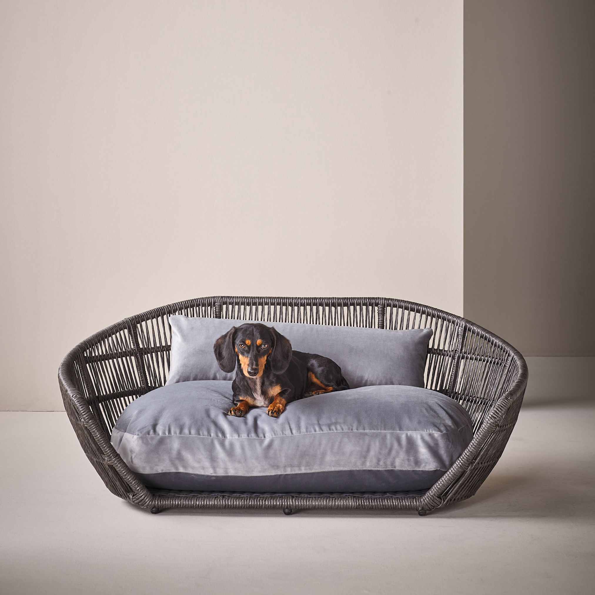 Hundebett aus Rattan mit grauem Kissen, Dackel liegend, modernes Design, Haustiermöbel.