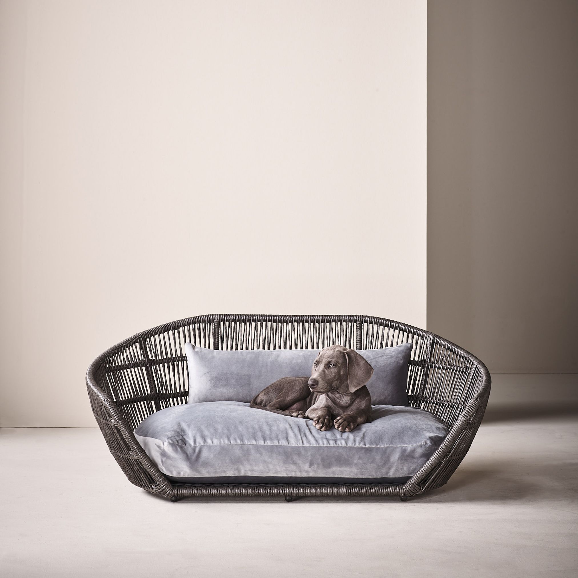 Hundebett aus Rattan mit grauem Kissen, modernes Design, komfortabel für Haustiere.