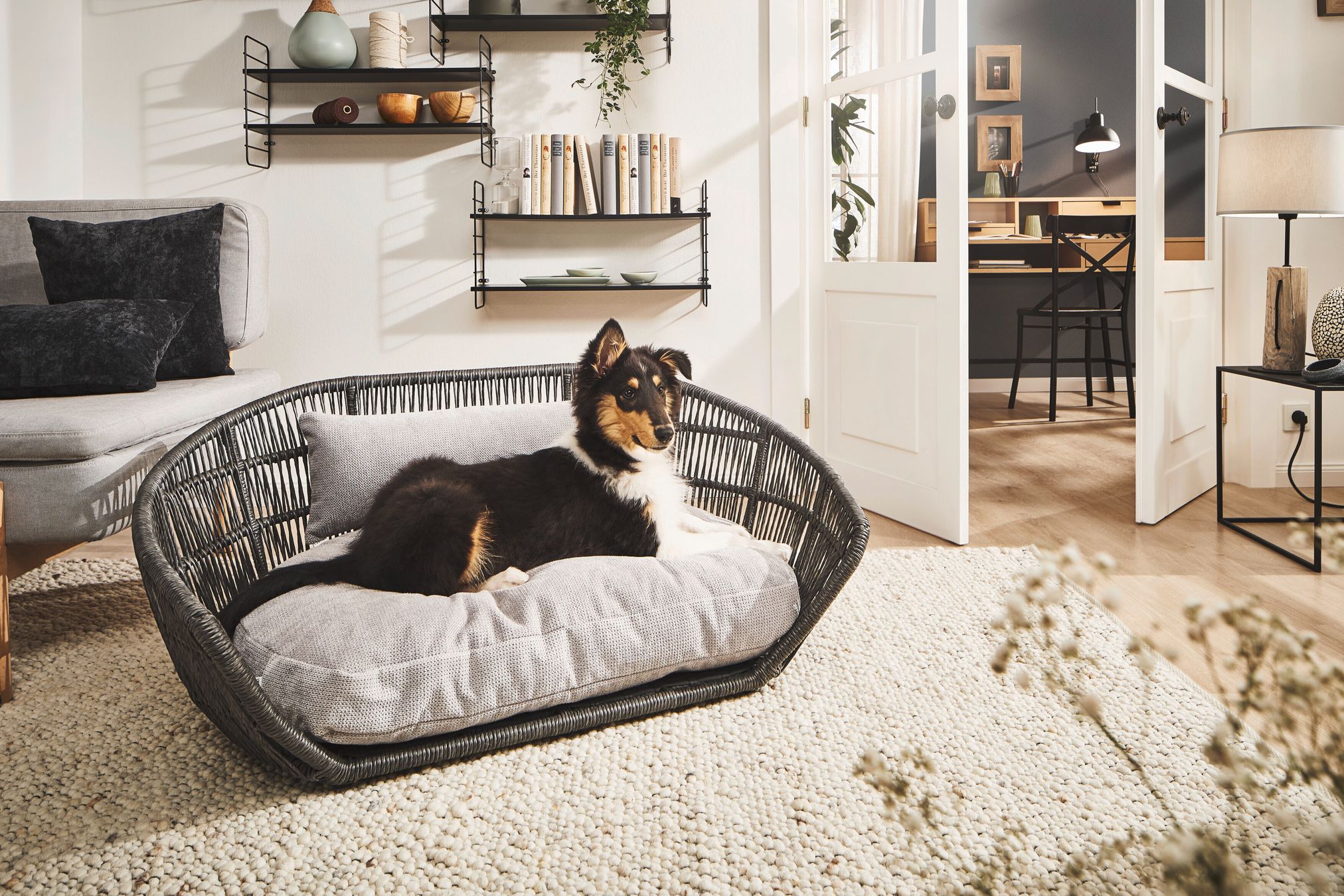 Hund auf grauem Hundebett in modernem Wohnzimmer, Rattankorb, skandinavisches Design, gemütlich.