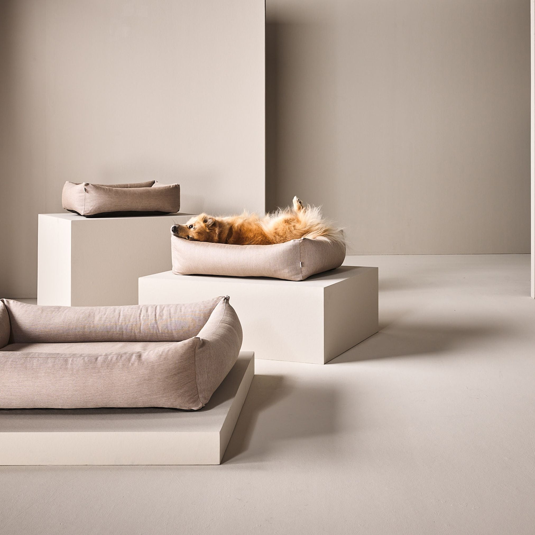 Hundebett aus beigem Stoff, rechteckig, auf Podest, modernes Design, gemütlich und stilvoll.