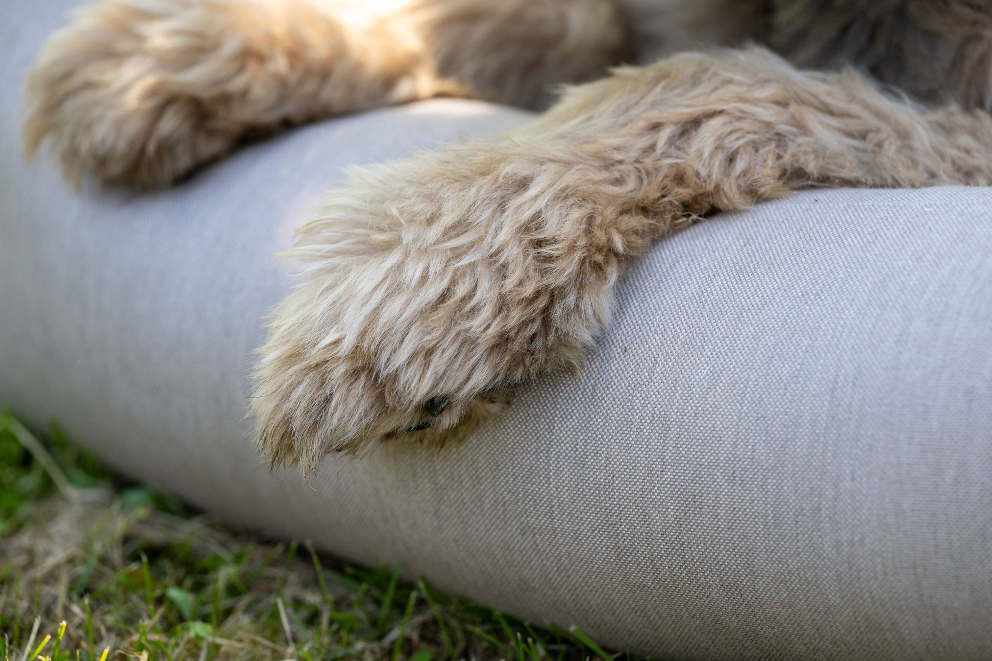 Hundefell auf grauem Hundebett im Freien, Nahaufnahme, flauschig, bequem, Haustierbedarf.