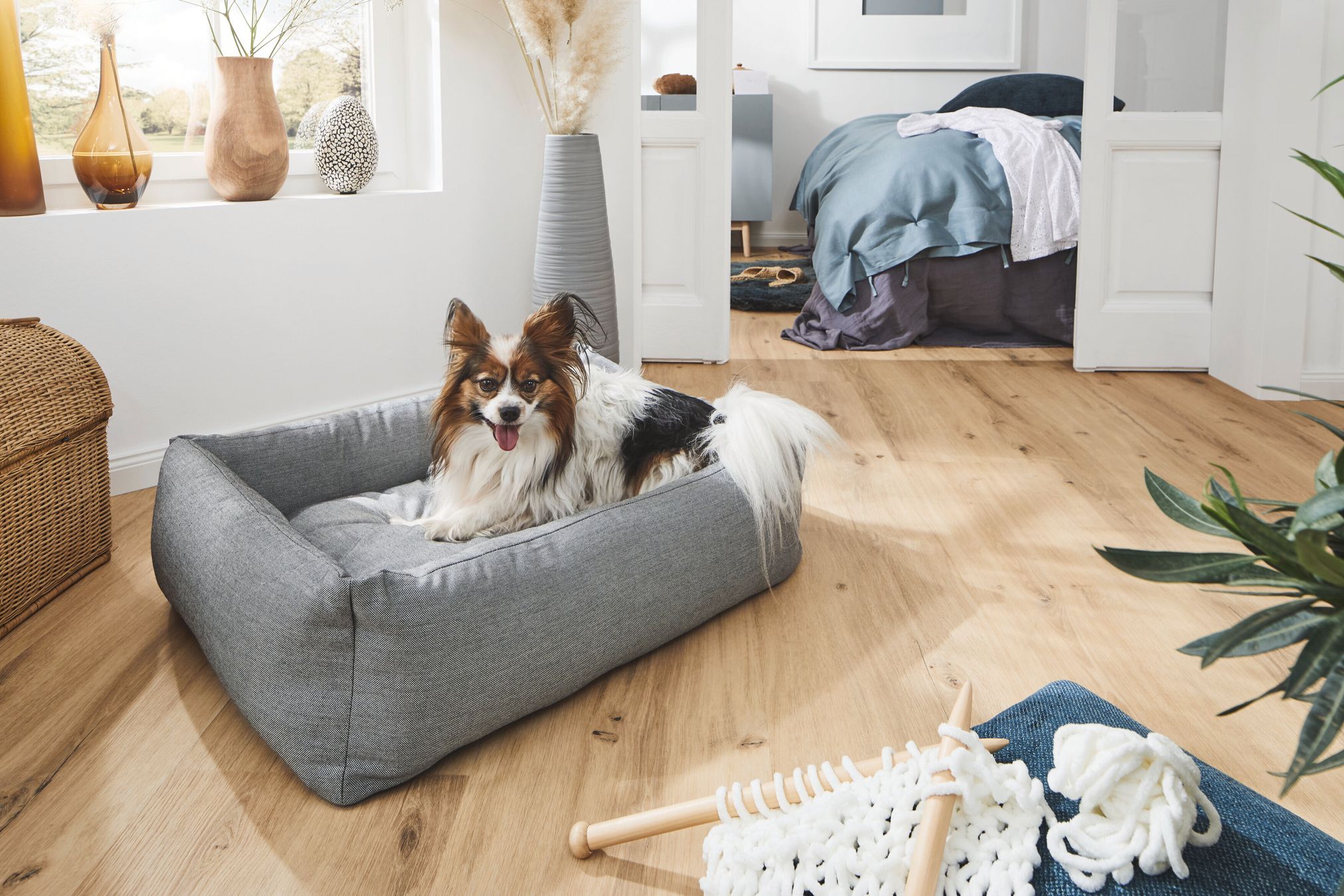 Hund in grauem Hundebett auf Holzboden, modernes Wohnzimmer, gemütliche Einrichtung.