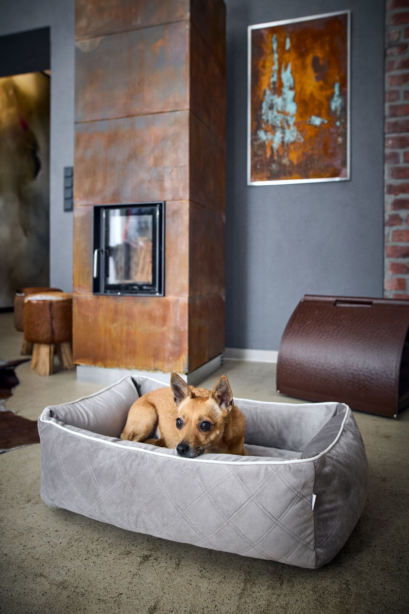 Kleiner Hund in grauem Hundebett vor modernem Kamin, gemütliches Wohnzimmer, stilvolle Einrichtung.