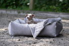 Hund in grauem Hundebett im Freien, gemütlich, hochwertig, ideal für kleine Hunderassen.