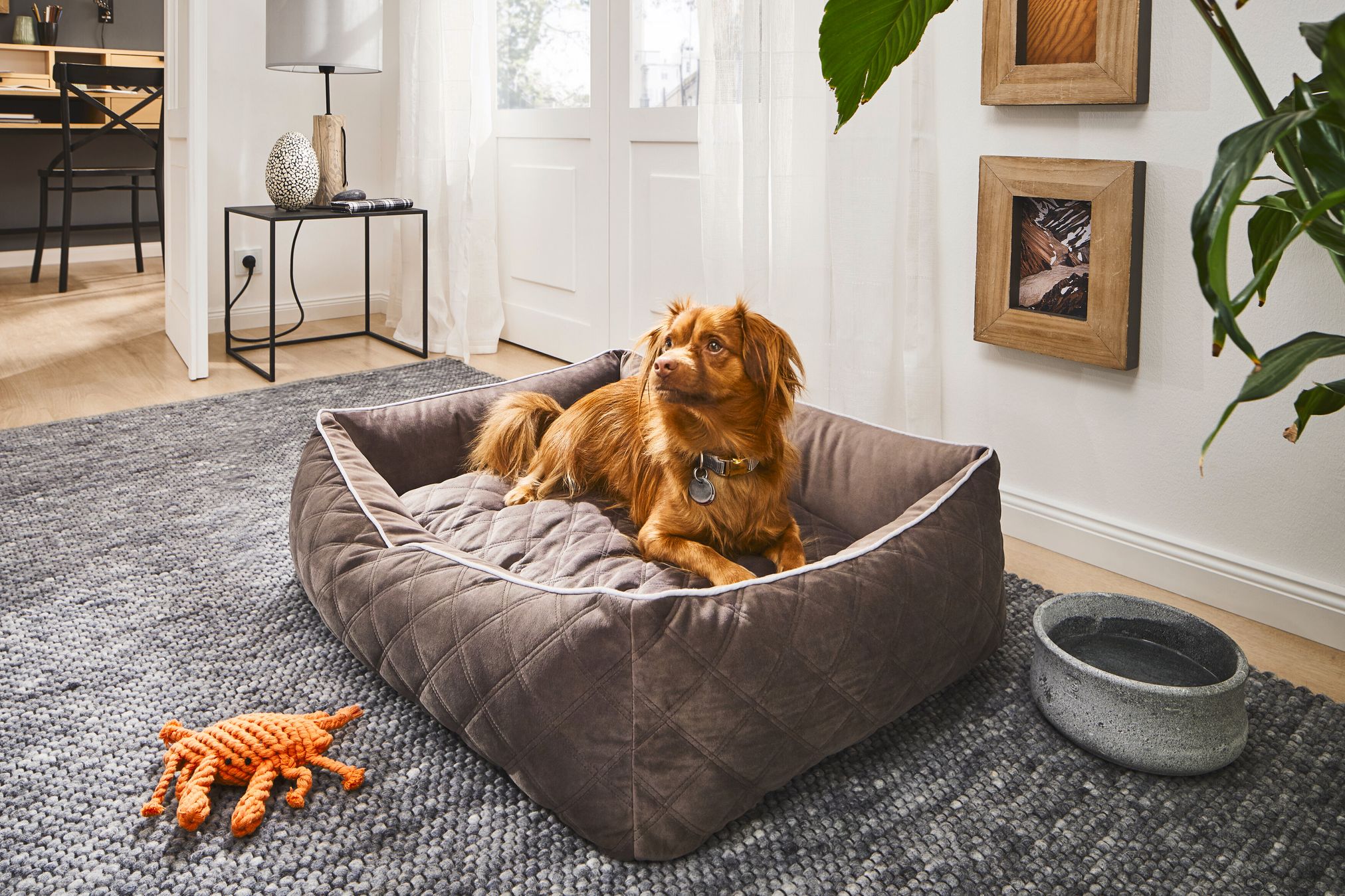 Braunes Hundebett aus Stoff in modernem Wohnzimmer, Hund liegt darin, Spielzeug und Napf daneben.