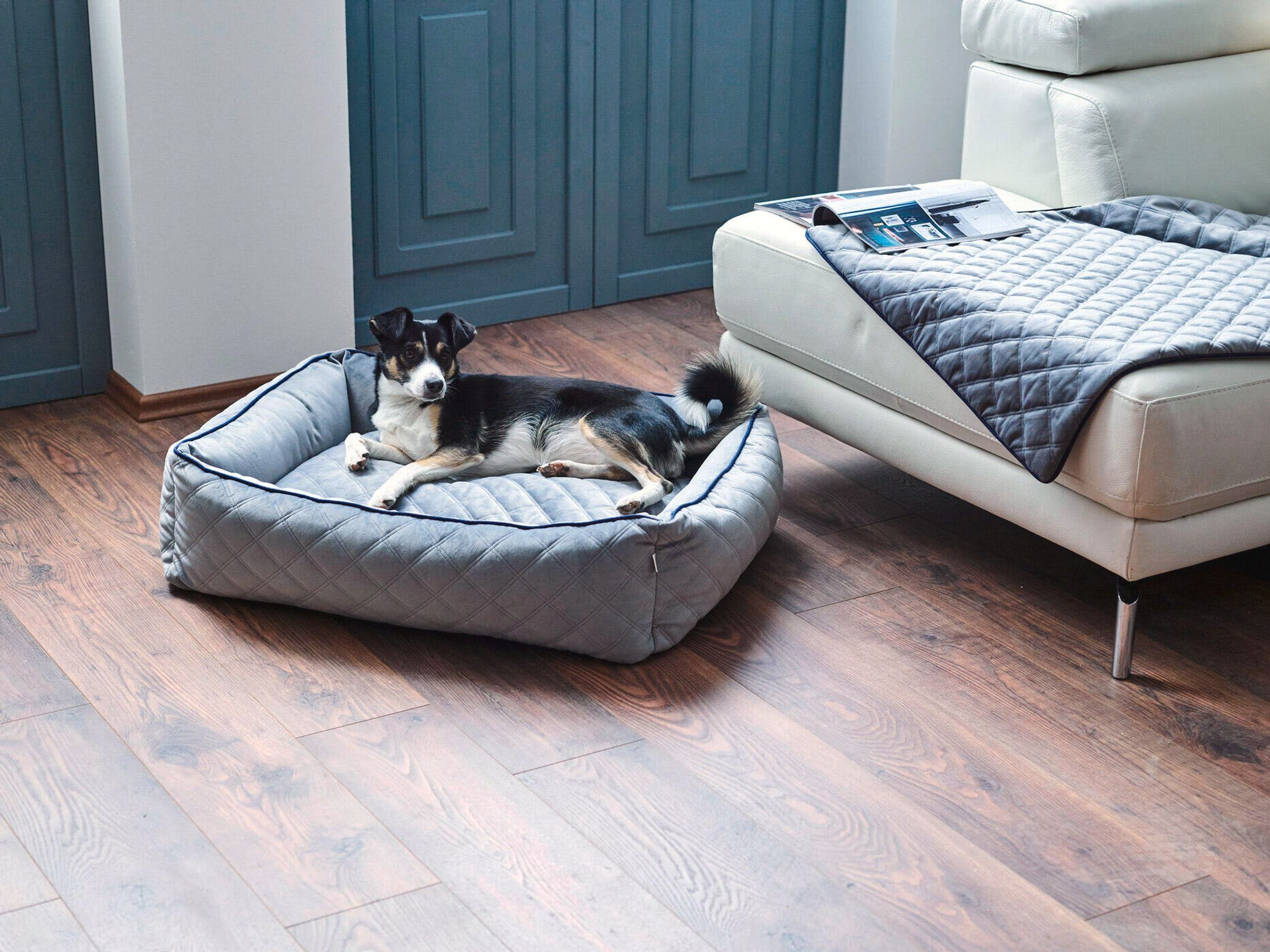 Hundebett grau, gesteppter Stoff, Hund liegt bequem, modernes Wohnzimmer, Holzboden.