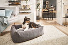 Hund in grauem Hundebett im Wohnzimmer, modernes Interieur, Teppich, Regal, Schreibtisch im Hintergrund.