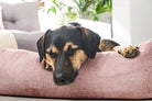 Schlafender Hund auf rosa Kissen, gemütliches Wohnzimmer, entspannte Atmosphäre, Haustierfreundlich.