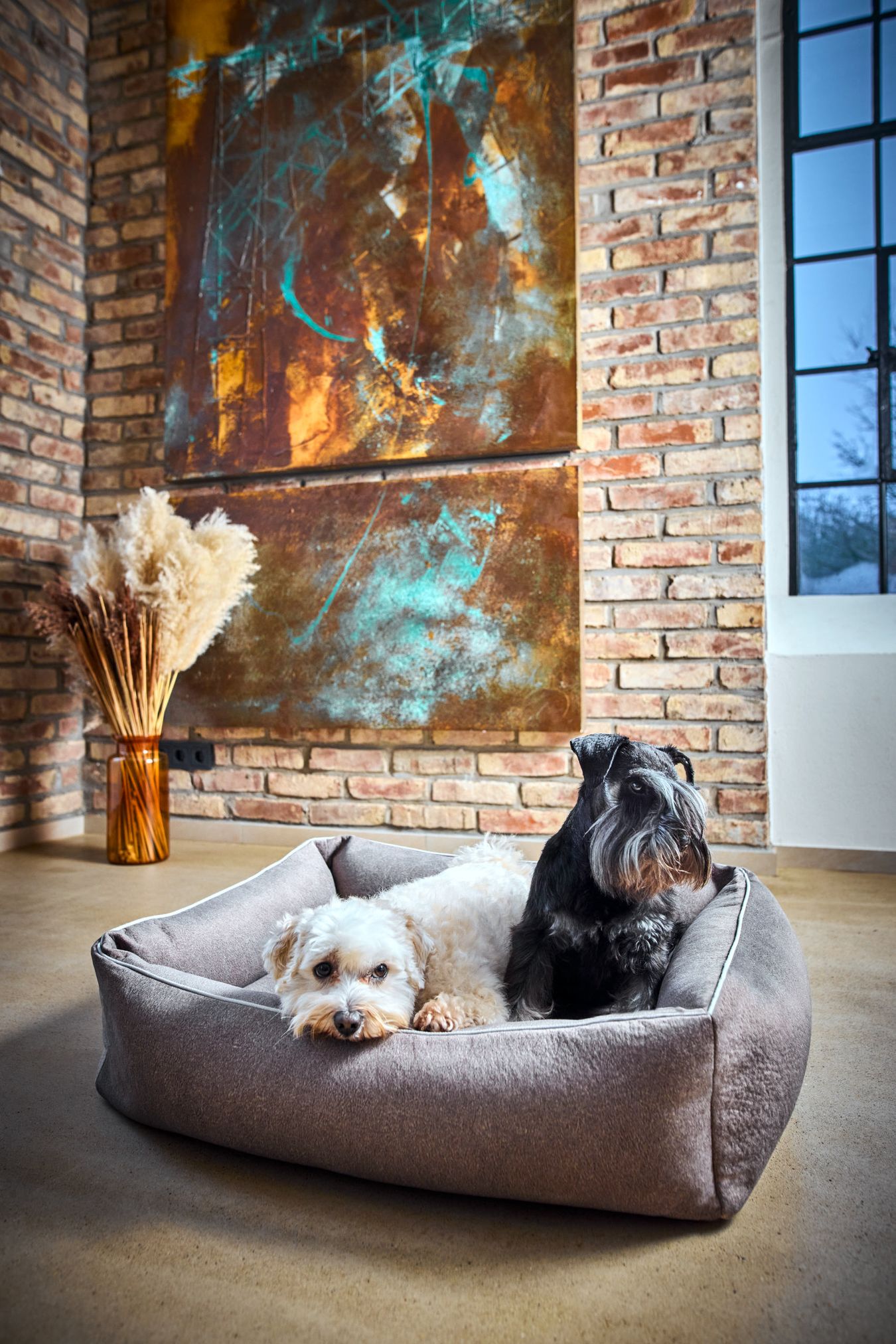 Zwei Hunde in grauem Hundebett vor Backsteinwand mit Kunstwerk und Fenster.