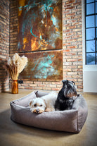 Zwei Hunde in grauem Hundebett vor Backsteinwand mit Kunstwerk und Fenster.