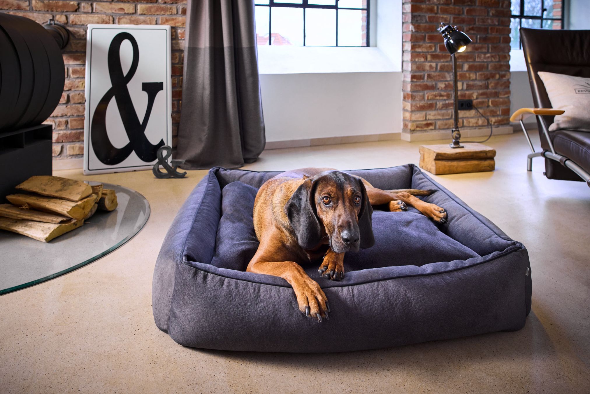 Hund auf grauem Hundebett in modernem Wohnzimmer, Backsteinwand, Kamin, stilvolle Einrichtung.