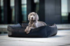 Grauer Weimaraner-Hund in schwarzem Hundebett, modernes Design, draußen auf Terrasse.