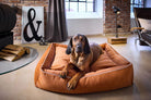 Hund auf braunem Hundebett in modernem Wohnzimmer, Ziegelwand, Fenster, stilvolle Einrichtung.