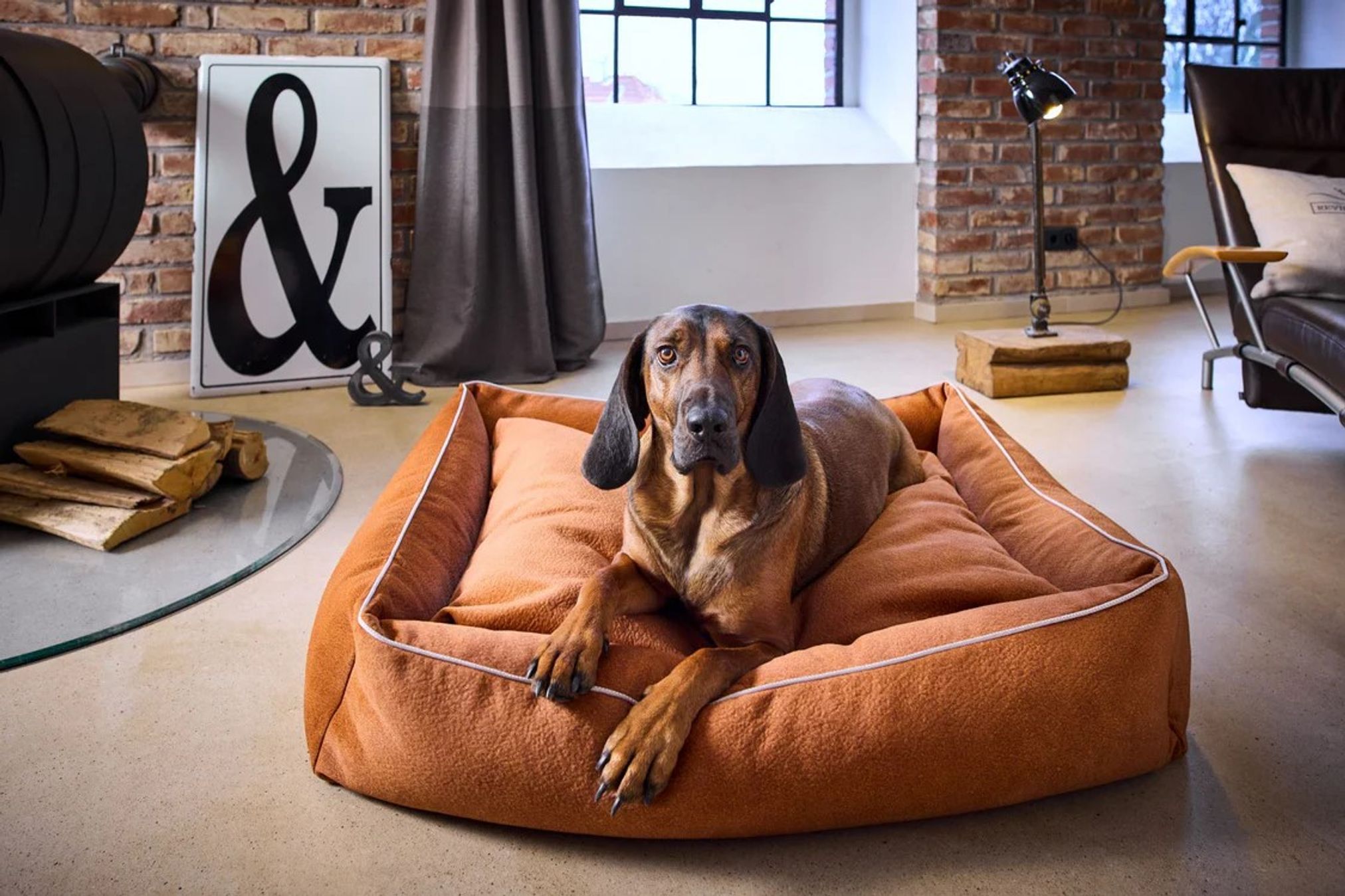 Hund auf braunem Hundebett in modernem Wohnzimmer, Ziegelwand, Fenster, stilvolle Einrichtung.