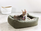 Hund in grünem Hundebett aus Fleece auf Betonboden, modernes Design, bequem, langlebig.