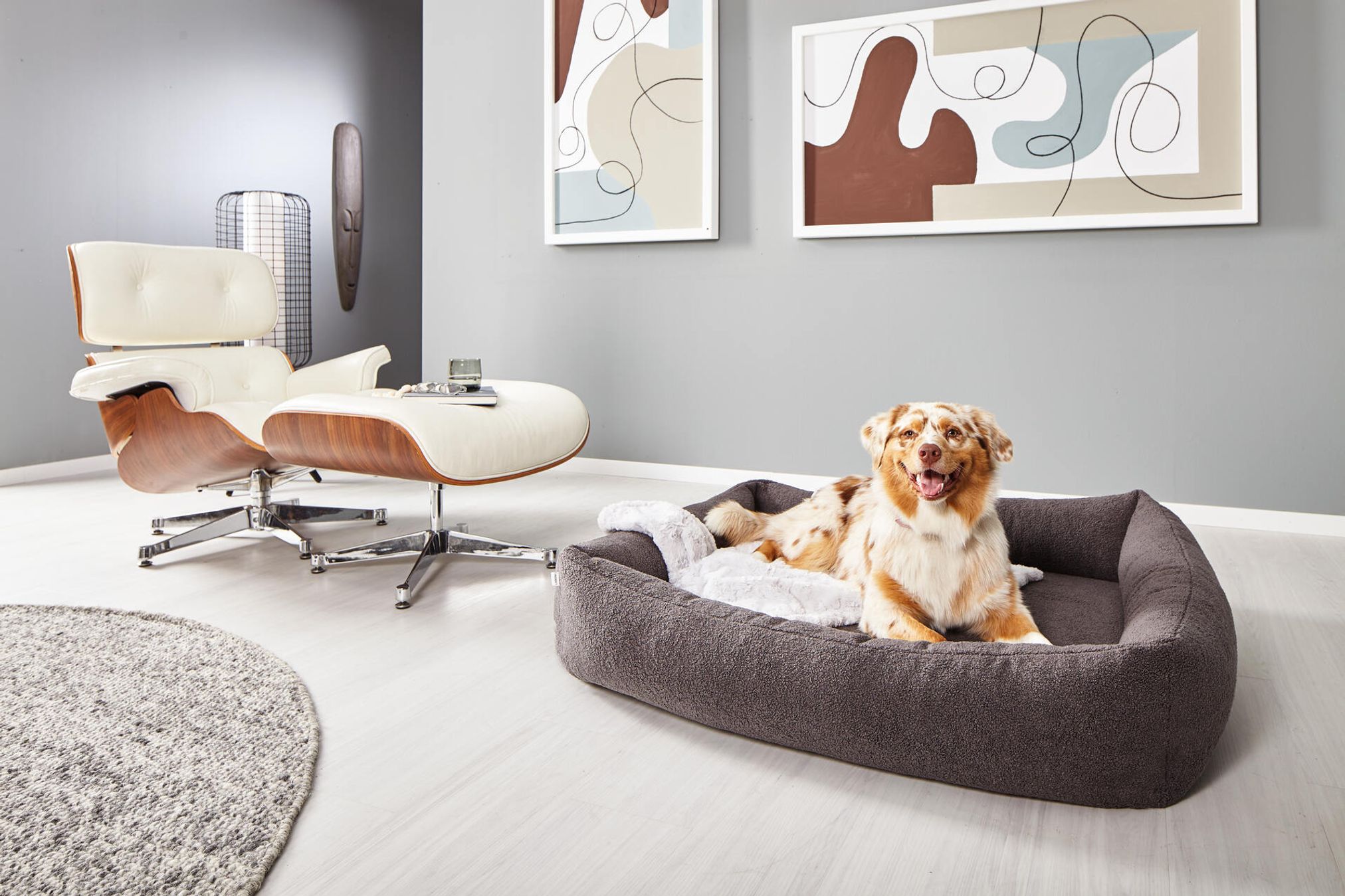 Hund in grauem Hundebett neben weißem Designerstuhl in modernem Wohnzimmer.