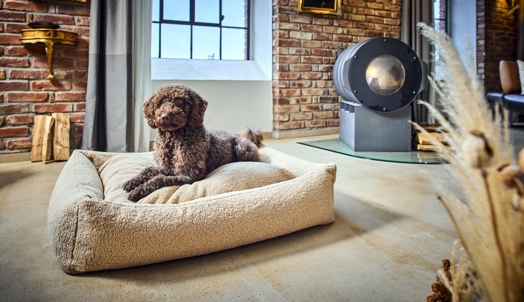 Brauner Hund auf beigem Hundebett in modernem Wohnzimmer mit Backsteinwand und Kamin.