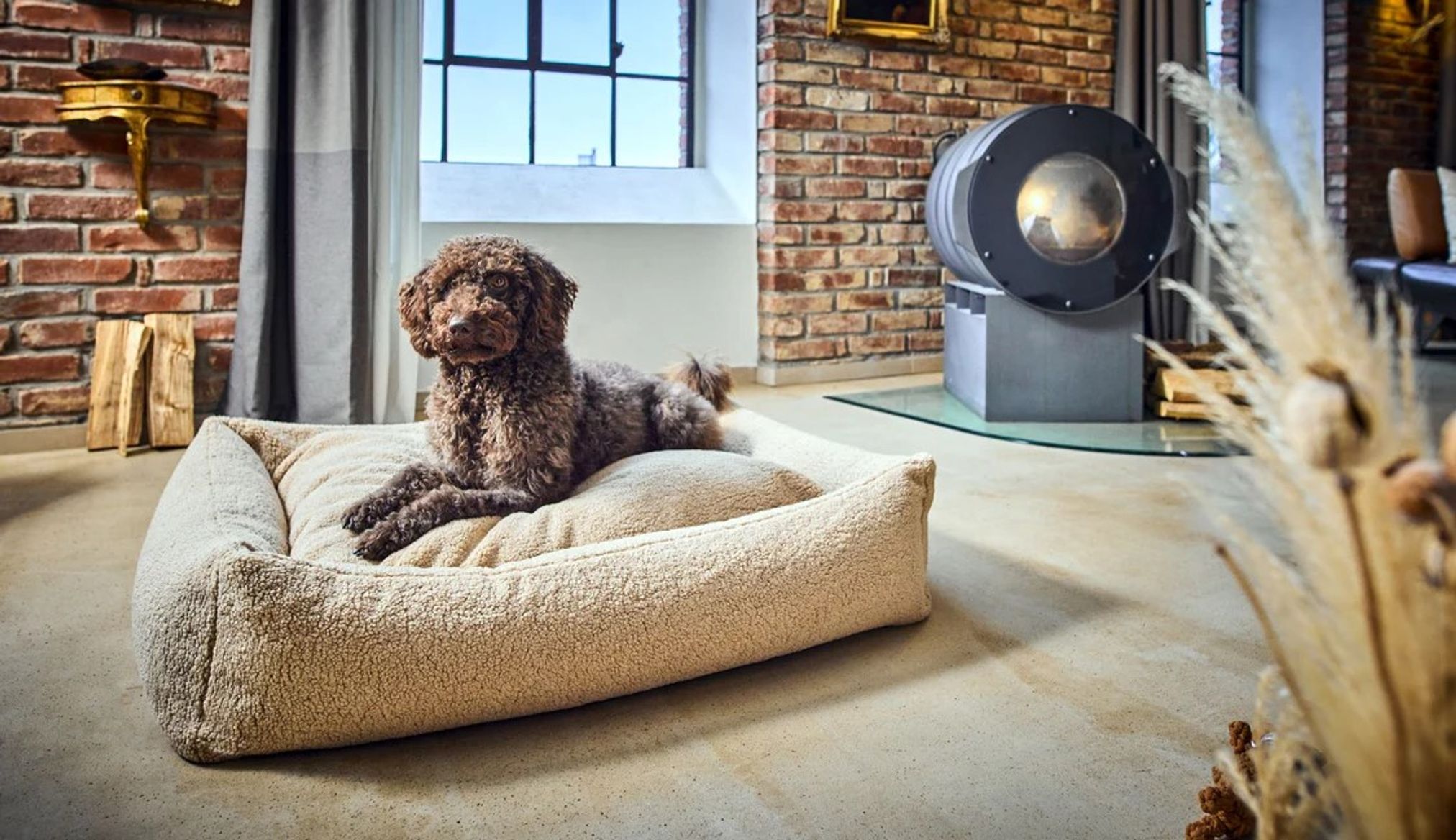 Brauner Hund auf beigem Hundebett in modernem Wohnzimmer mit Backsteinwand und Kamin.