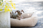 Dackel in beigem Hundebett aus Plüsch im Freien, gemütlich liegend, Haustierkomfort.
