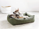 Hund in grünem Hundebett aus Stoff, modernes Design, gemütlich, für mittelgroße Hunde.