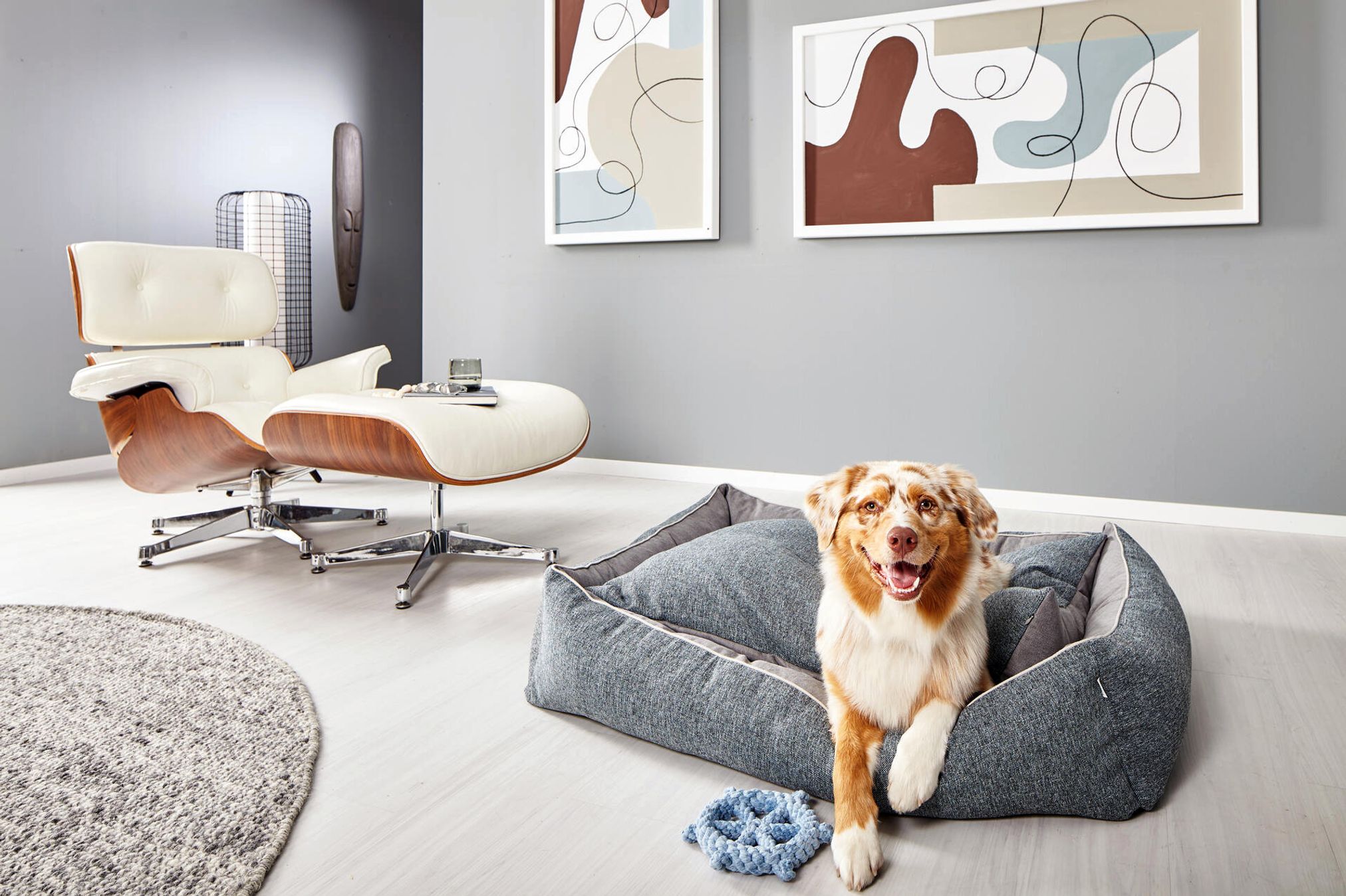 Hund in grauem Hundebett im modernen Wohnzimmer mit Designerstuhl und abstrakter Kunst an der Wand.