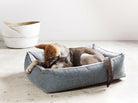 Hund in grauem Hundebett aus Stoff, gemütlich liegend, modernes Design, Innenraum.