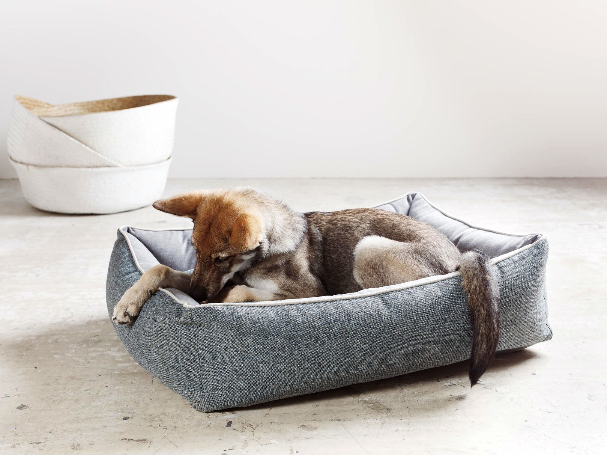 Hund in grauem Hundebett aus Stoff, gemütlich liegend, modernes Design, Innenraum.