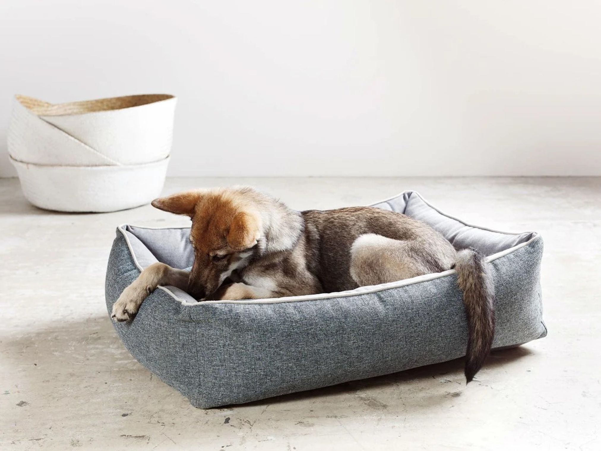 Hund in grauem Hundebett aus Stoff, gemütlich, modernes Design, Innenraum, Haustierbedarf.