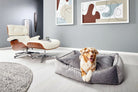 Hund in grauem Hundebett, modernes Wohnzimmer, Eames Lounge Chair, abstrakte Kunst an der Wand.