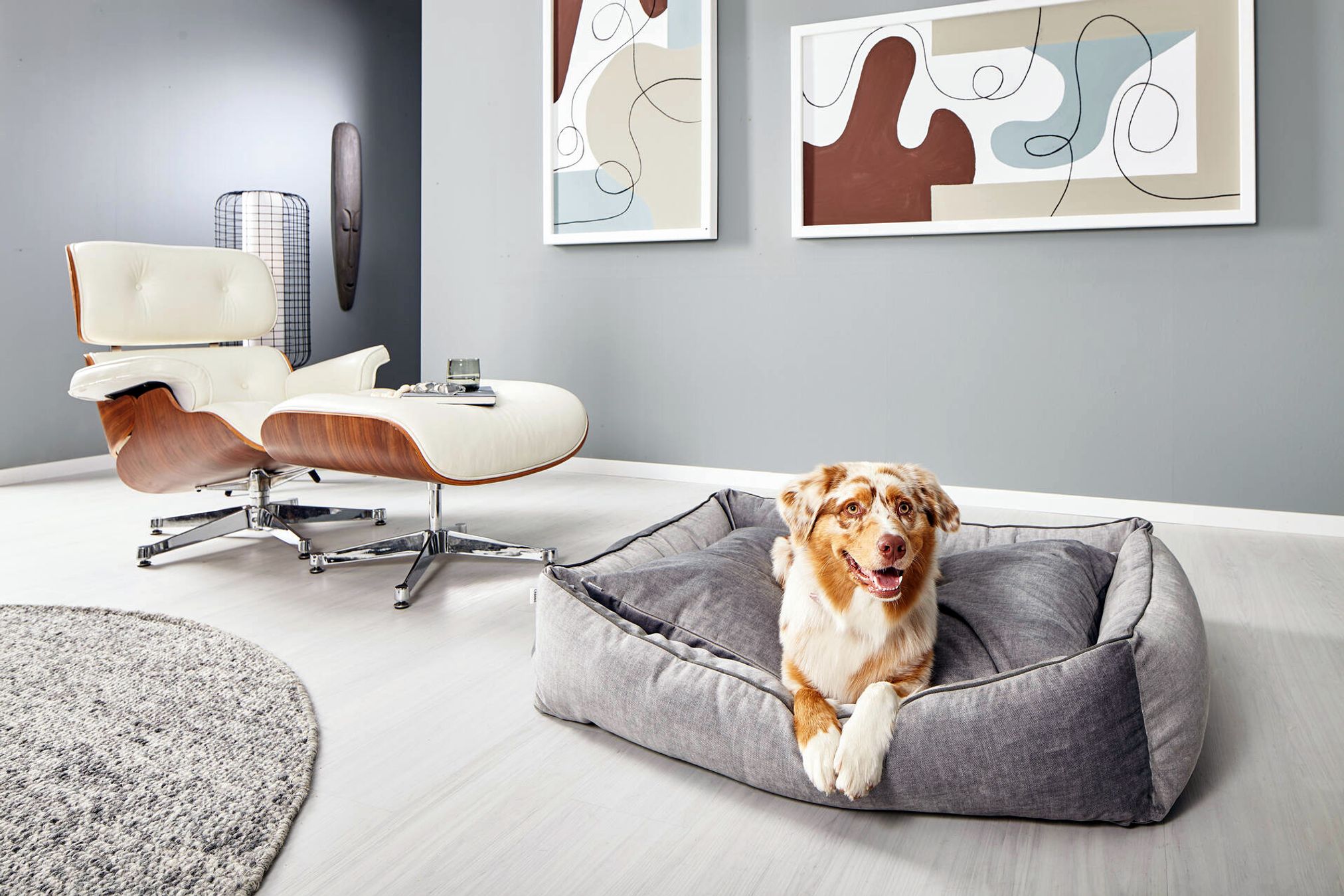 Hund in grauem Hundebett, modernes Wohnzimmer, Eames Lounge Chair, abstrakte Kunst an der Wand.